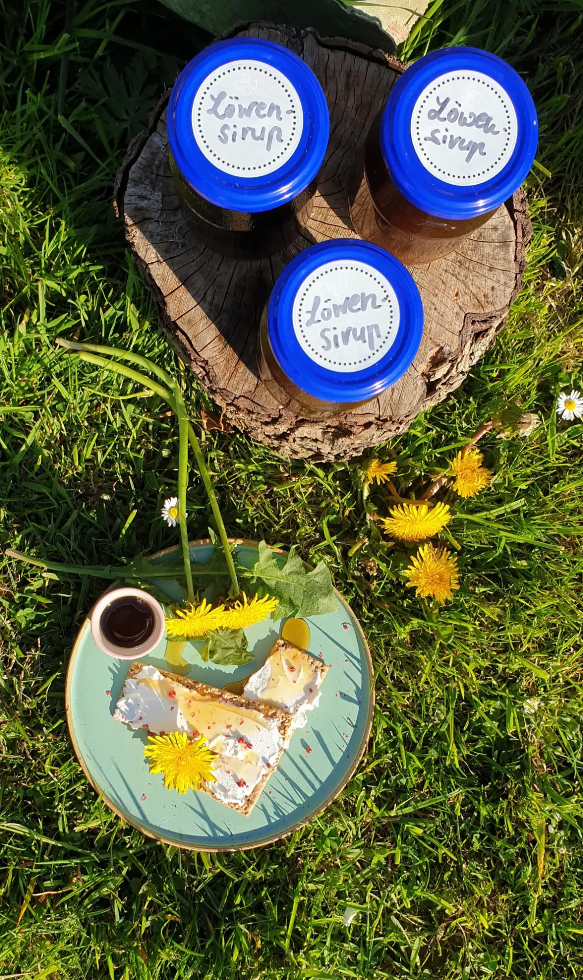 Löwenzahnblüten Sirup Gläser