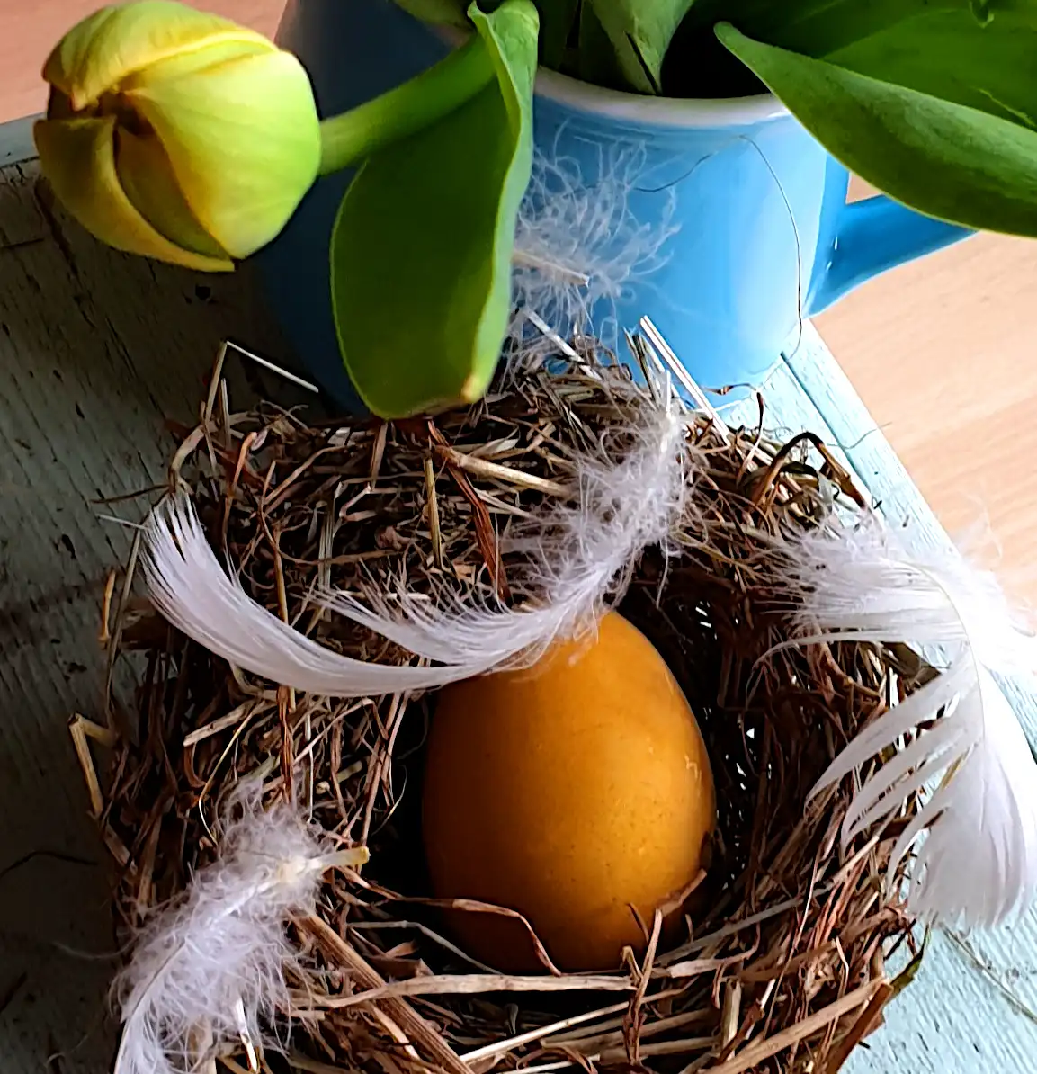 Easter nests with egg