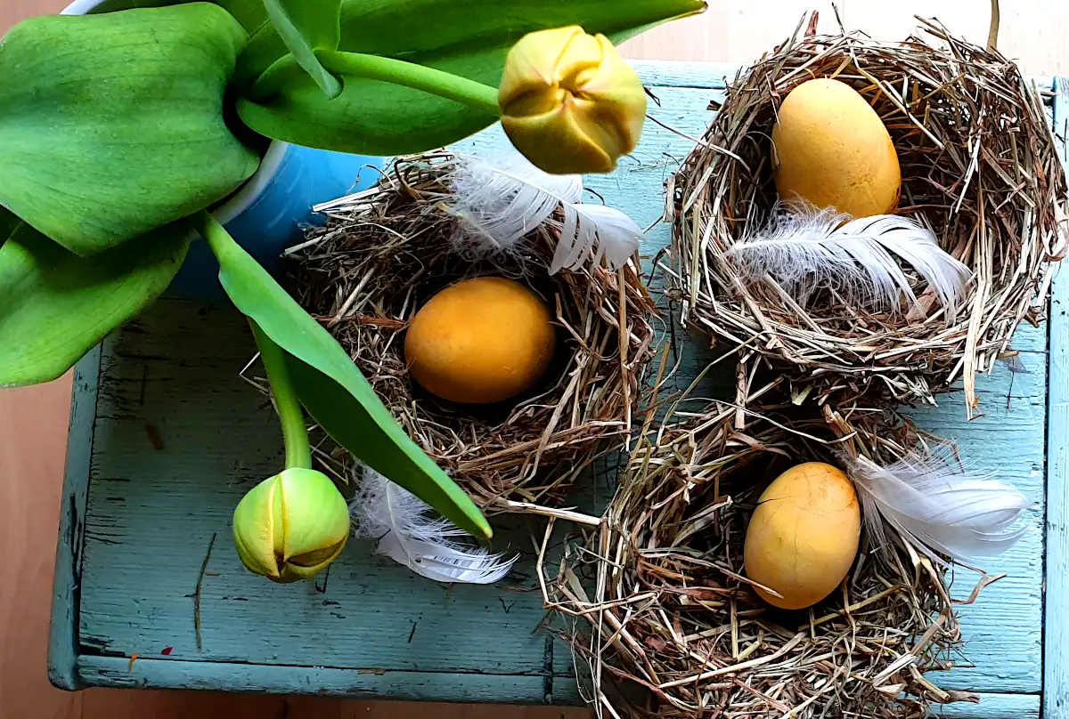 Easter nests