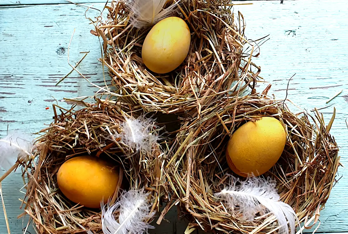 Easter nests close-up