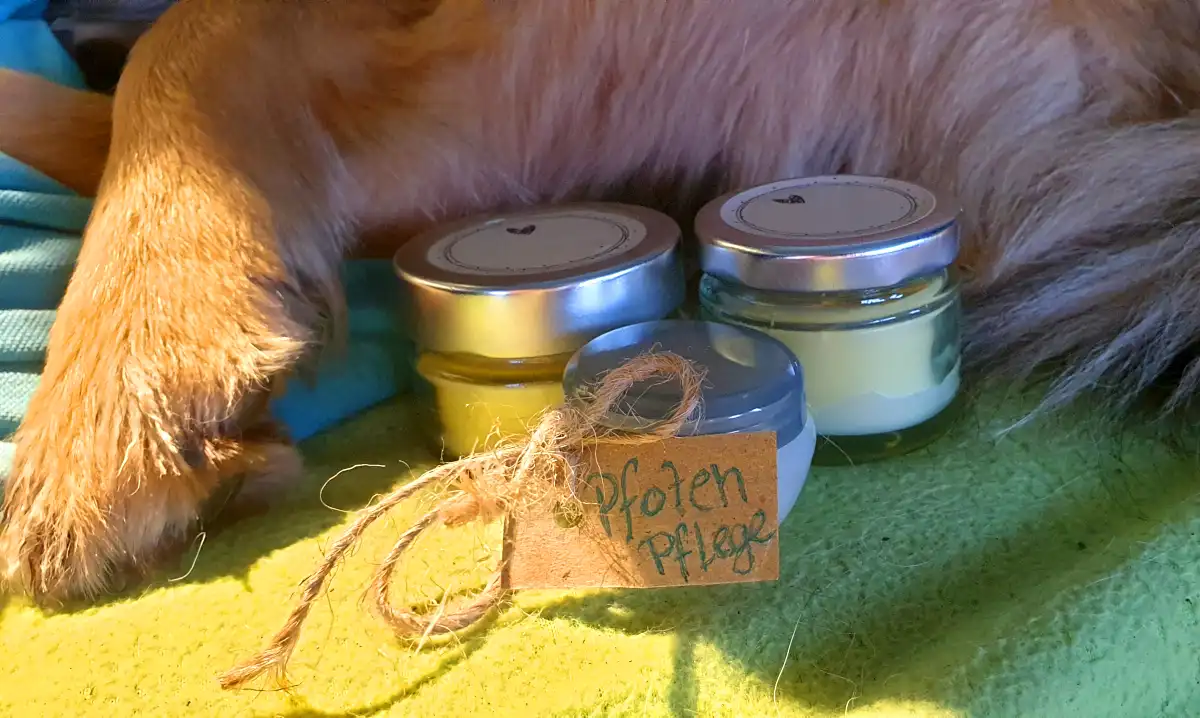 Dog paw with balm