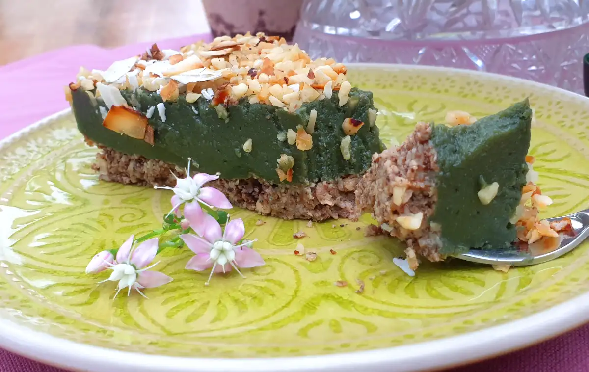 Spirulina Torte Stueck