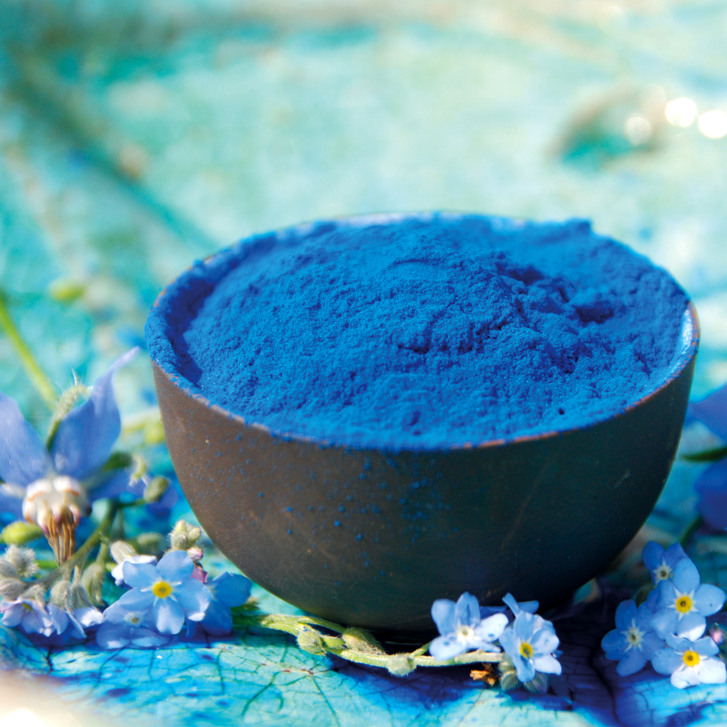 Blue Spirulina Extract Powder - Buy Phycocyanin