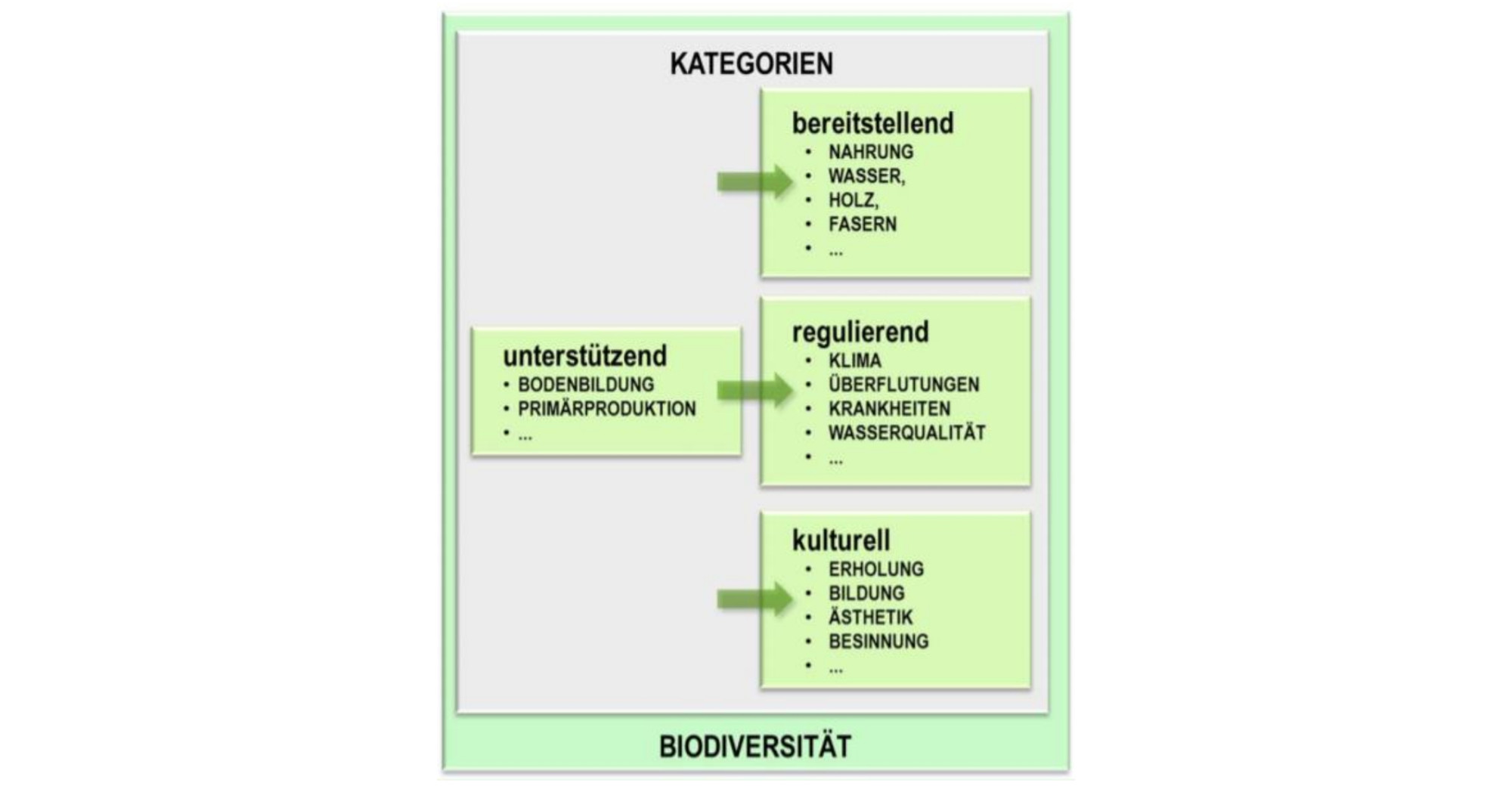 Grafik Biodiversität