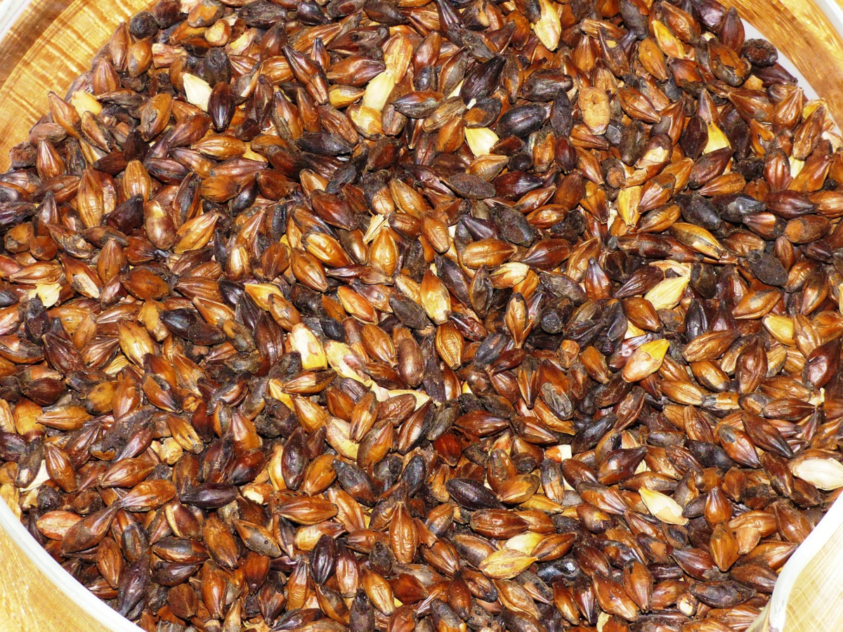 Gerstenmalz